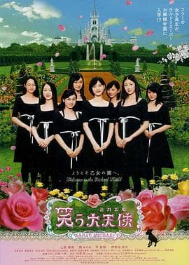 欢笑大天使海报