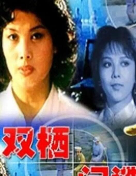 双栖间谍海报
