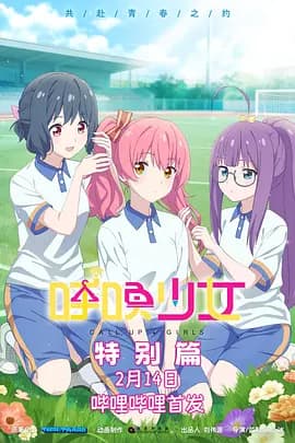 呼唤少女特别篇海报