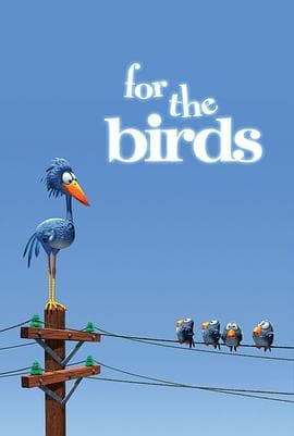 鸟!鸟!鸟!海报