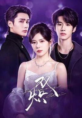 双炽海报