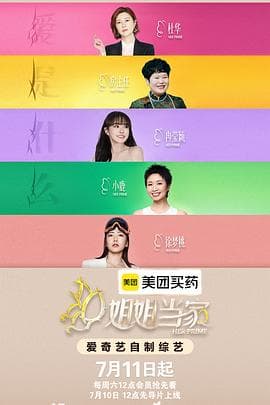 姐姐当家2海报